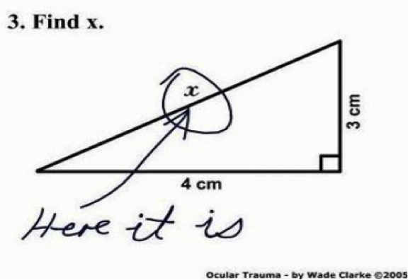 A good essay introduction can be as intriquing as pointing on X in the geometry task 